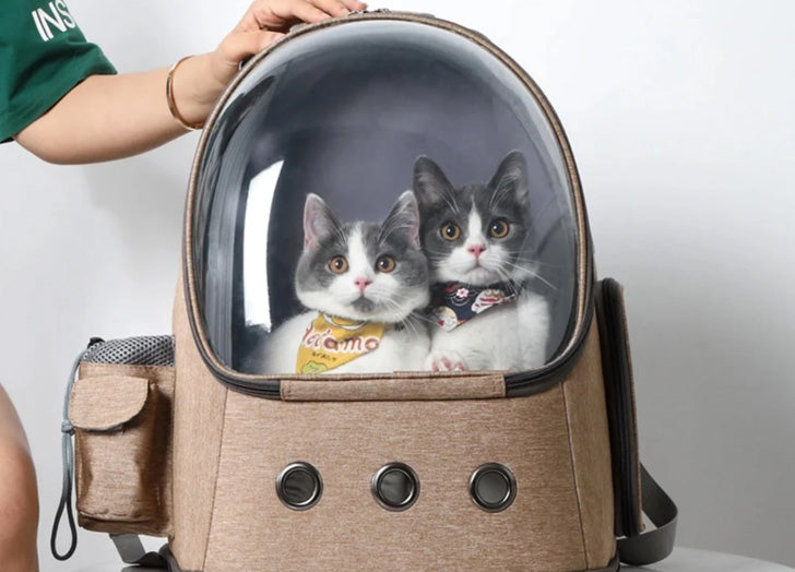 Pet Items